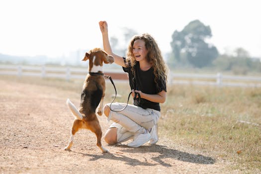 dog trainer using a leash