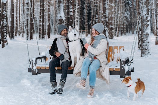 Poodle enjoying winter activities