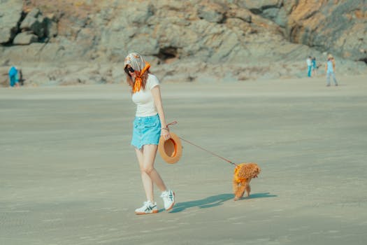 image of a poodle puppy eating