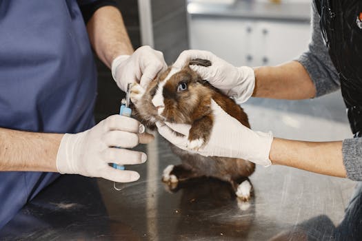 Groomer discussing nutrition with pet owner