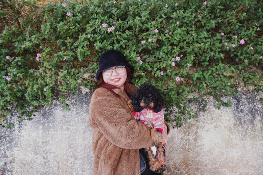 happy poodle with shiny coat