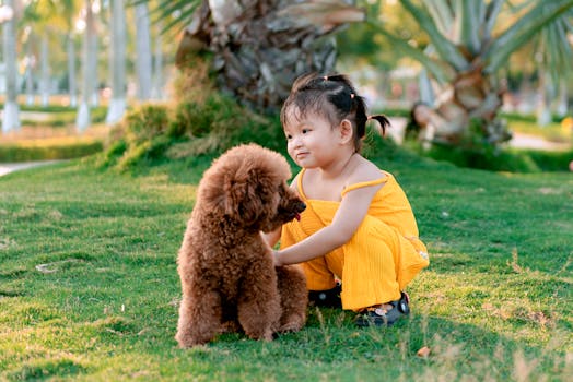 poodle playing with children