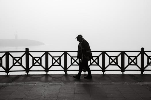 Poodle walking along a scenic path